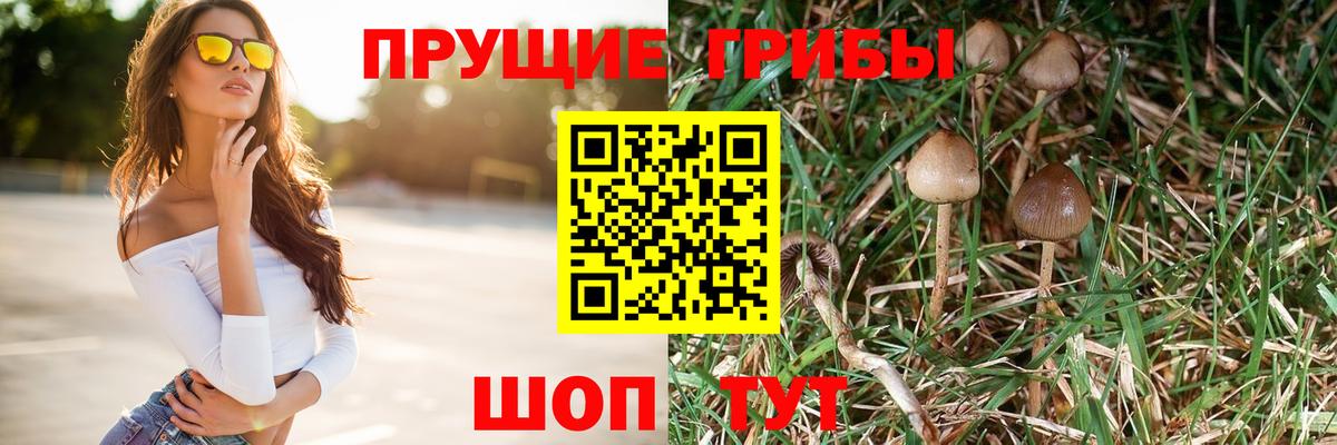 Благовещенск  Псилоцибиновые грибы ЛСД  что такое   Вход с VPN  Псилоцибиновые грибы ЛСД 
